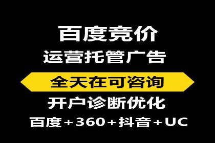 SEM托管公司成功案例：助力企业品牌提升
